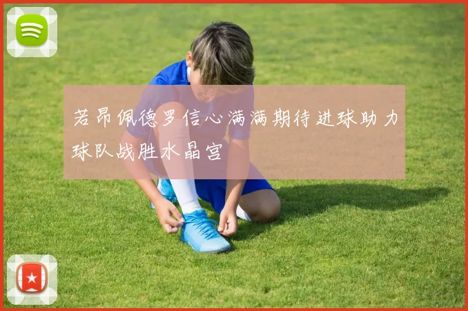 若昂佩德罗信心满满期待进球助力球队战胜水晶宫
